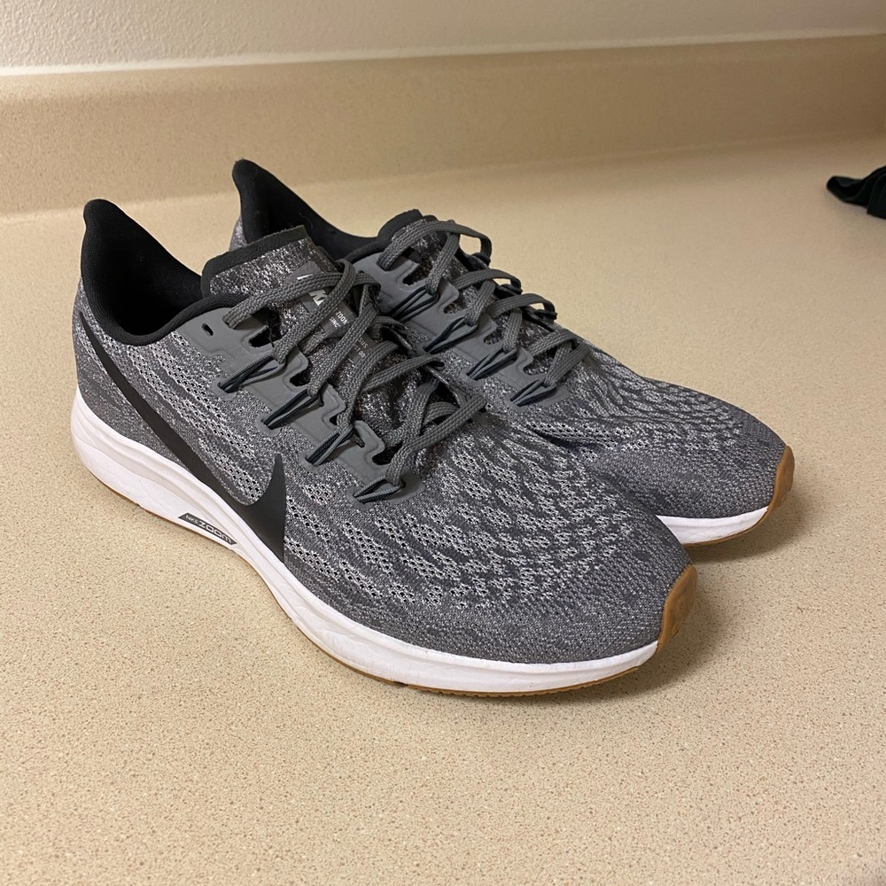 Nike Pegasus zoom
